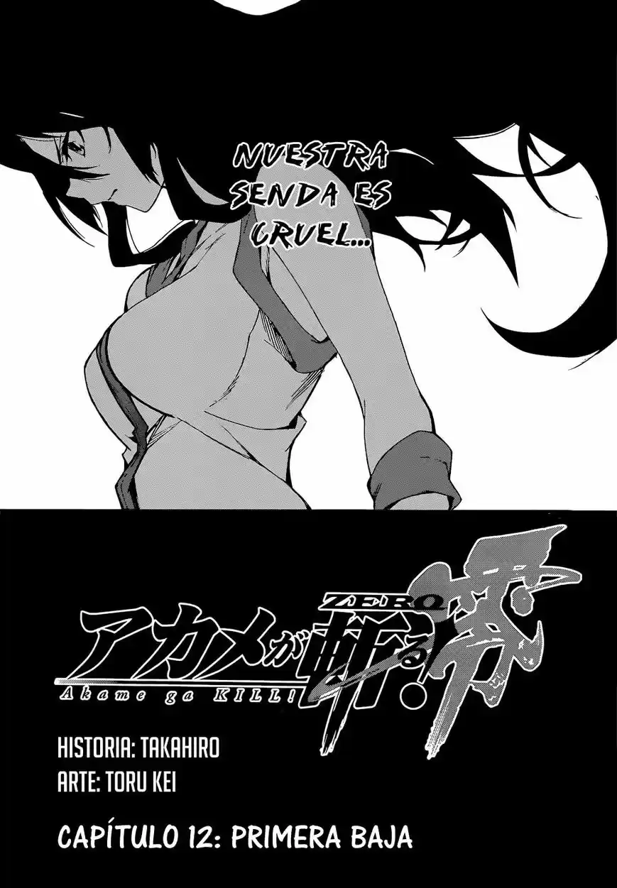 Akame Ga KILL! Zero: Chapter 12 - Page 1