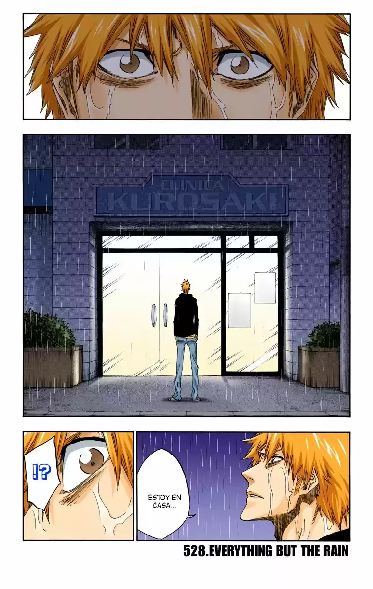 Bleach Full Color: Chapter 528 - Page 1