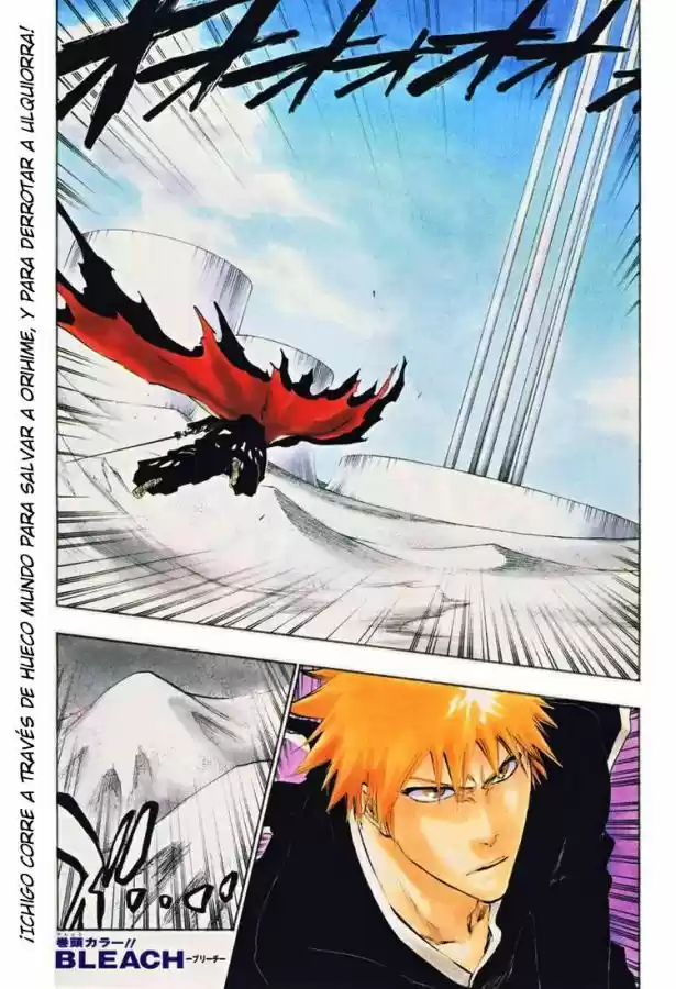 Bleach: Chapter 317 - Page 1