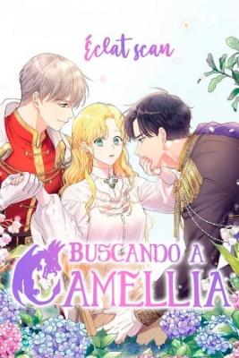 BUSCANDO A CAMELLIA