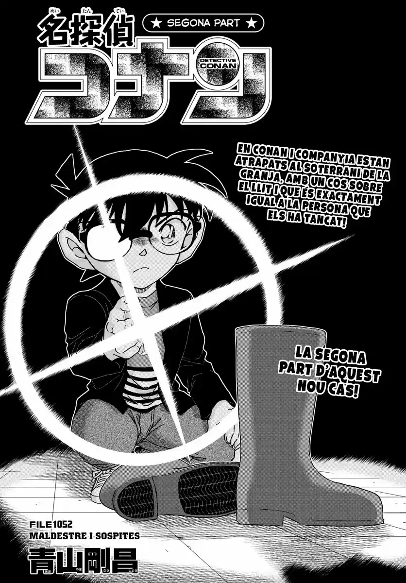 Detective Conan (Català: Chapter 1052 - Page 1