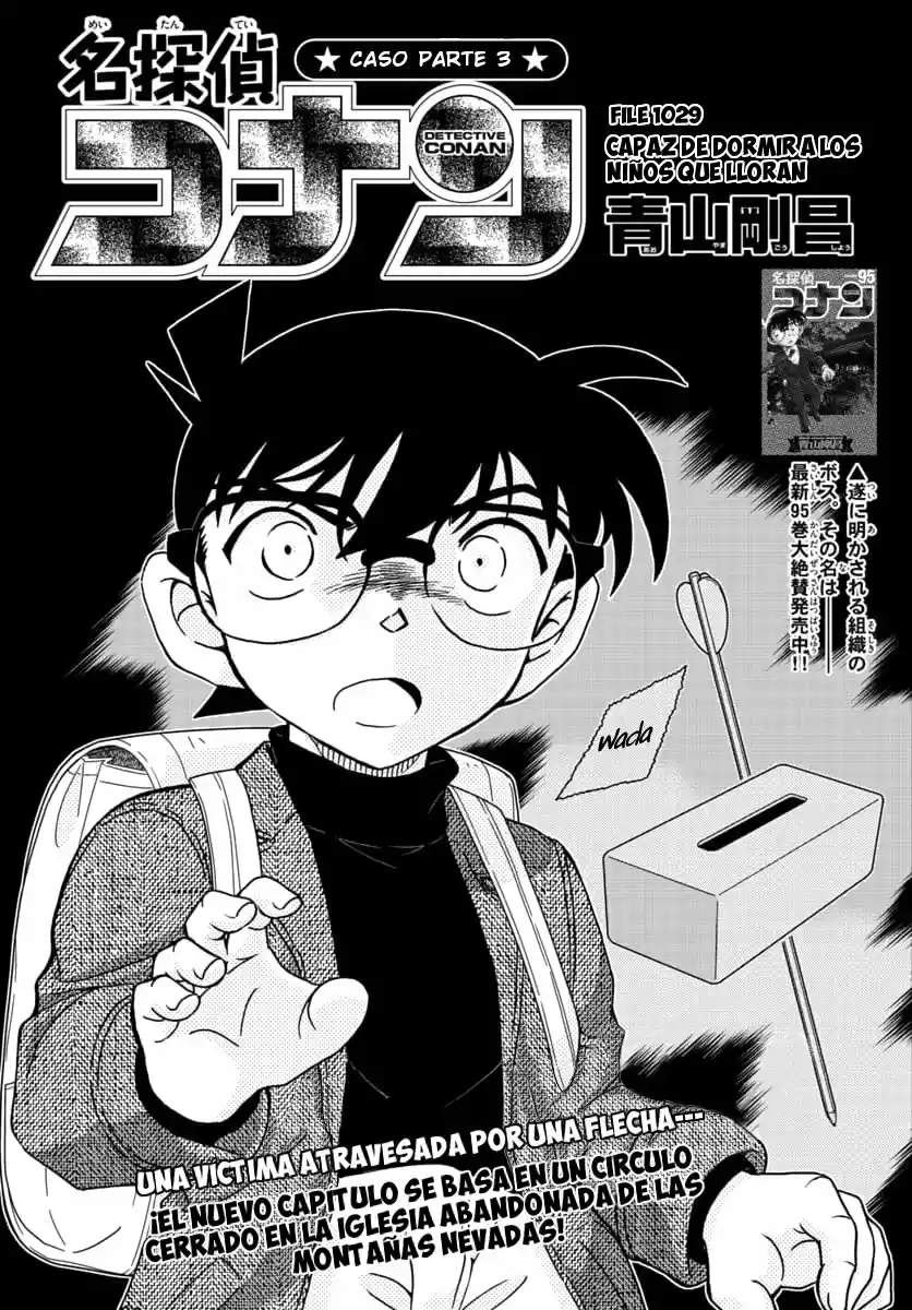 Detective Conan: Chapter 1029 - Page 1