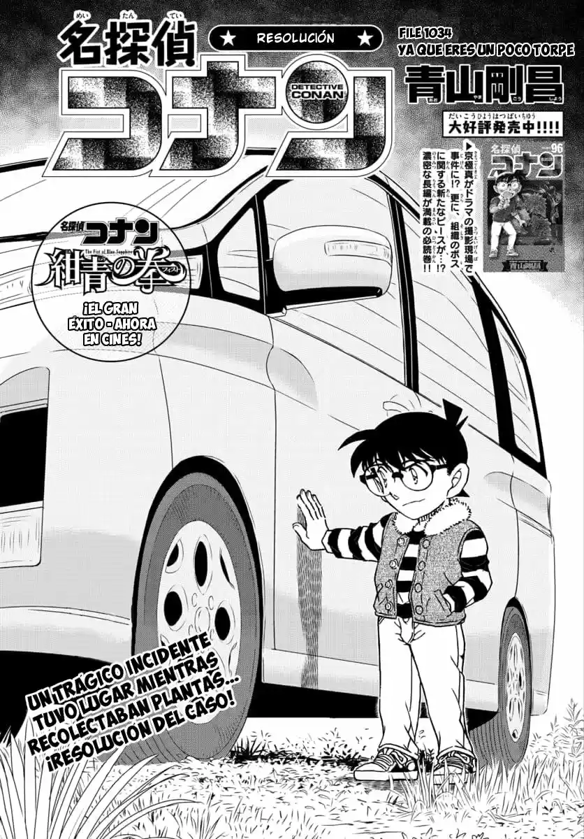 Detective Conan: Chapter 1034 - Page 1