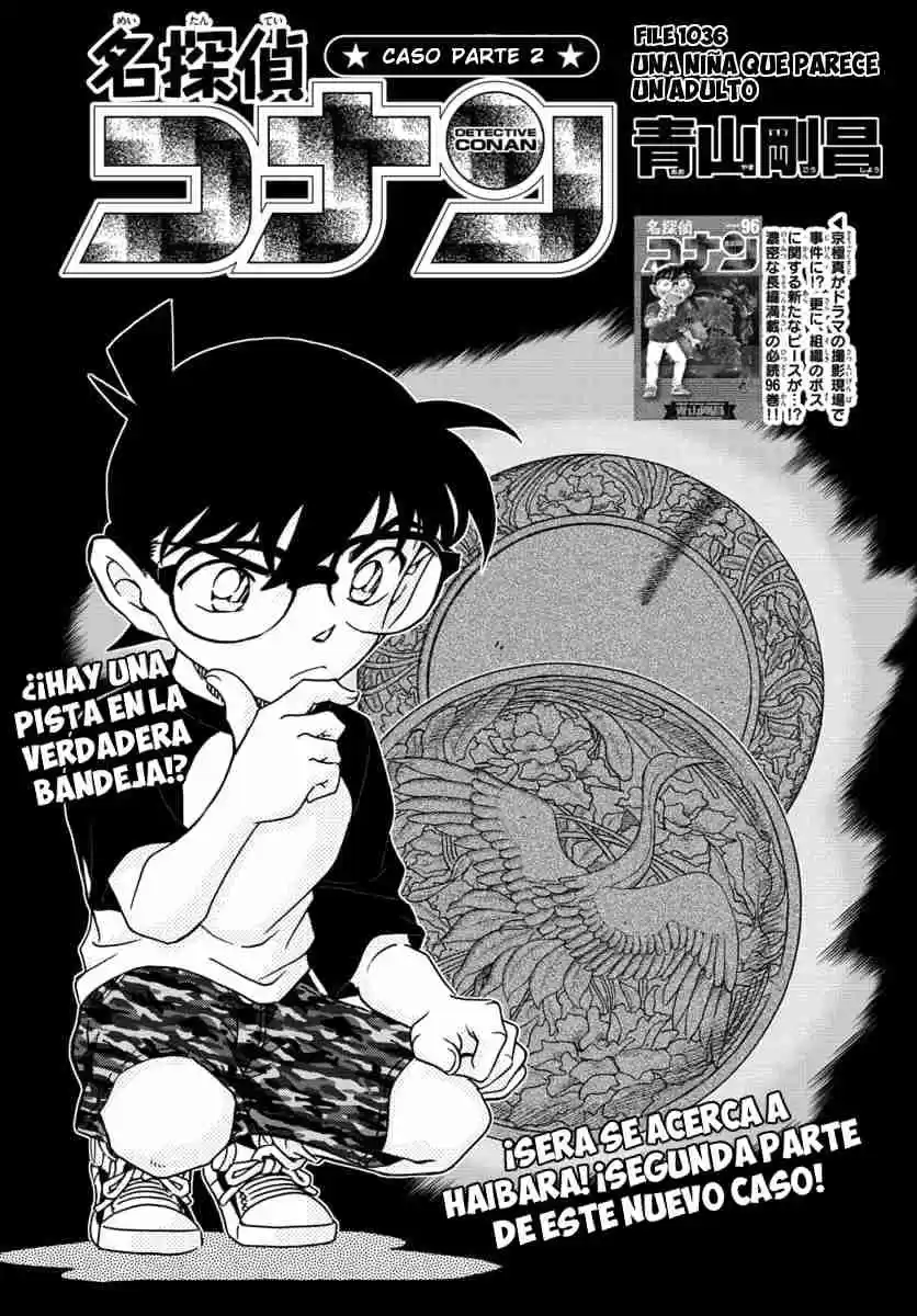 Detective Conan: Chapter 1036 - Page 1