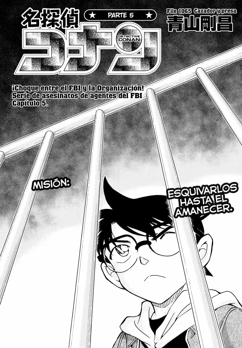 Detective Conan: Chapter 1065 - Page 1