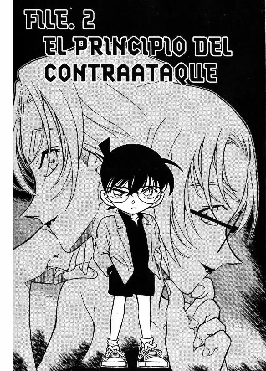 Detective Conan: Chapter 341 - Page 1