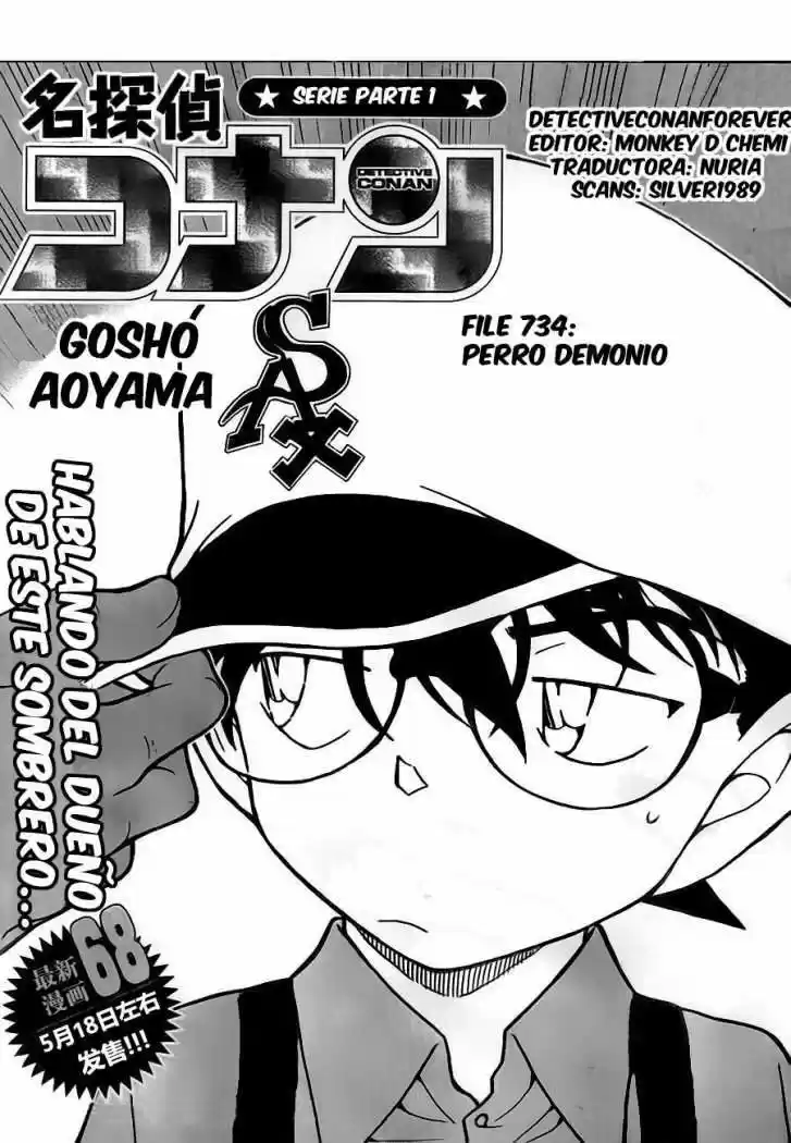 Detective Conan: Chapter 734 - Page 1