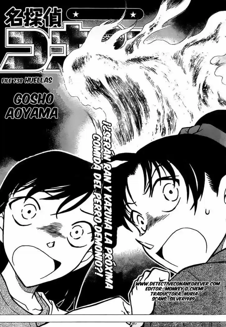 Detective Conan: Chapter 738 - Page 1