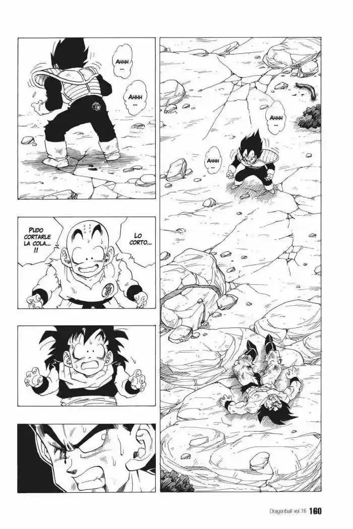 Dragon Ball: Chapter 236 - Page 1