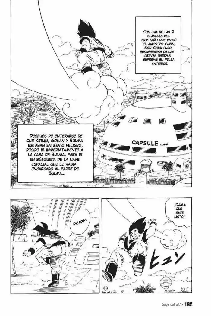 Dragon Ball: Chapter 251 - Page 1