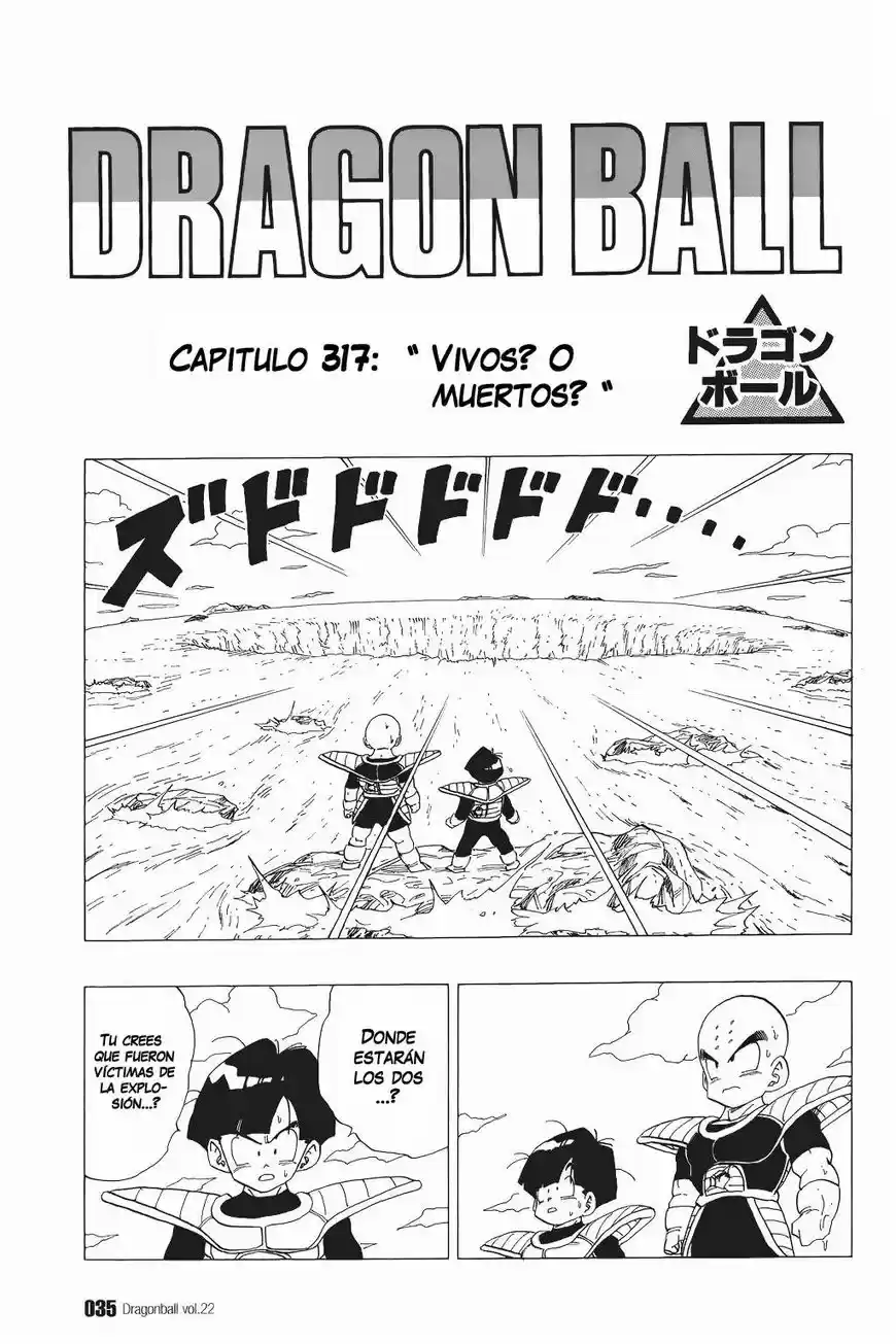 Dragon Ball: Chapter 317 - Page 1