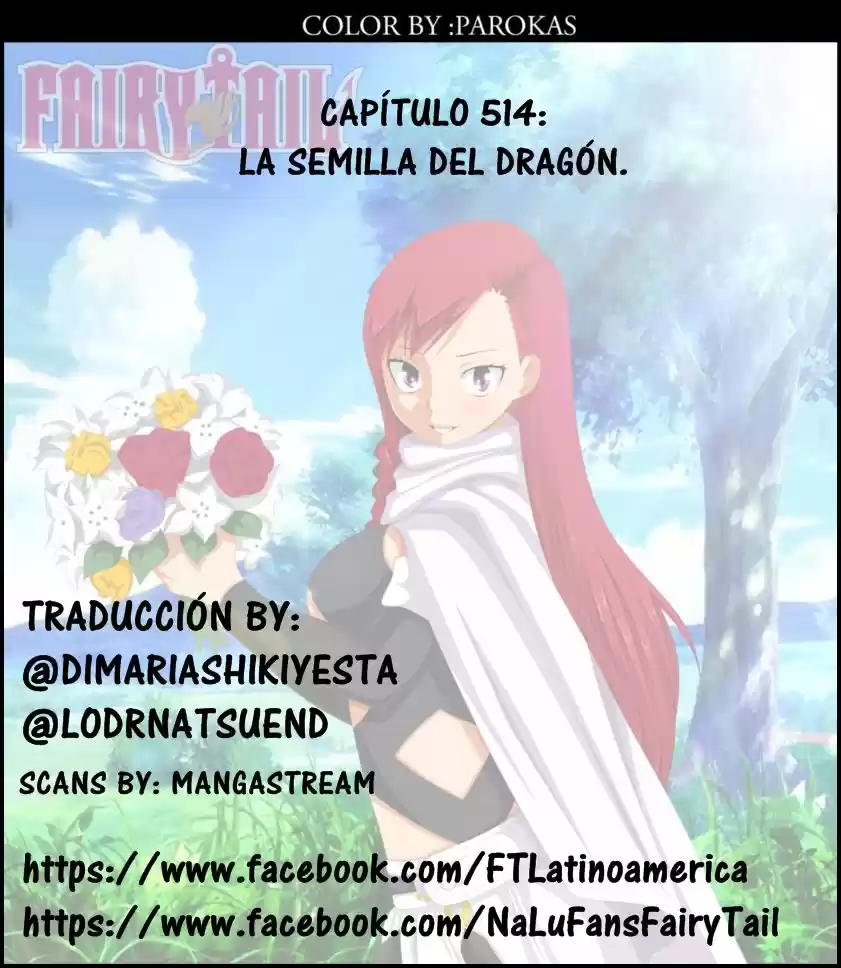 Fairy Tail: Chapter 514 - Page 1