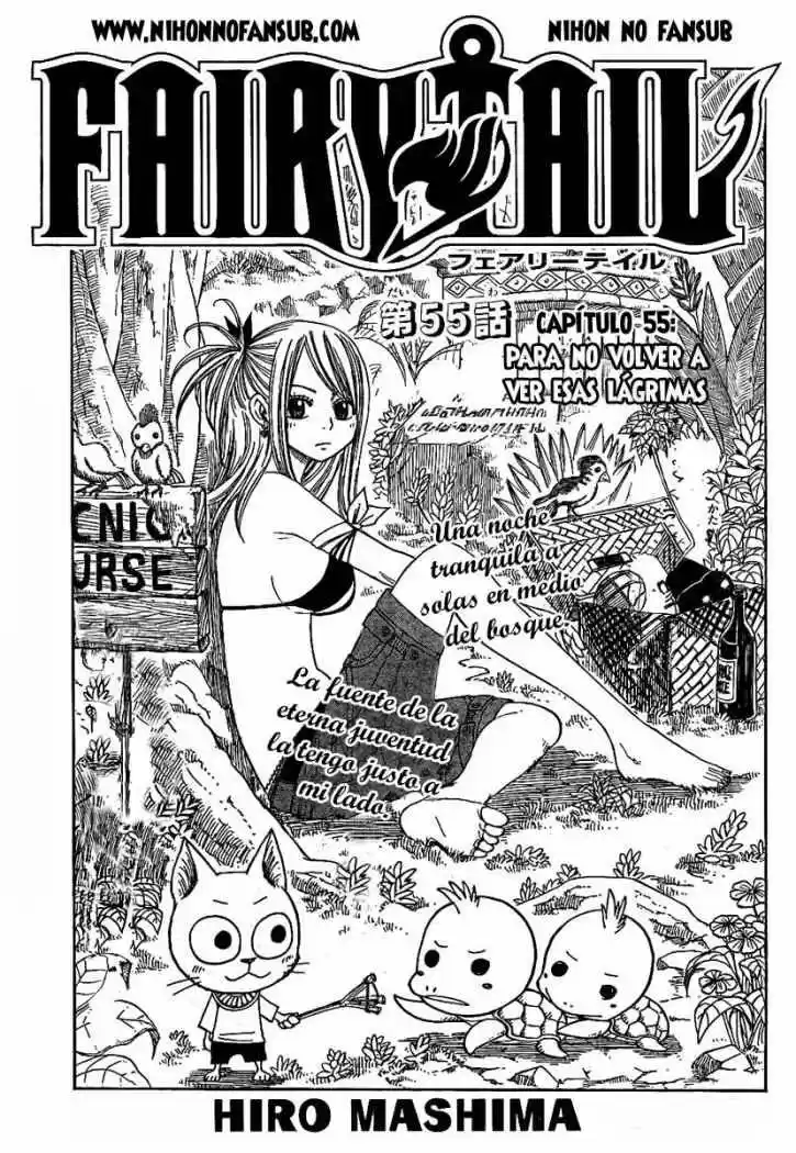Fairy Tail: Chapter 55 - Page 1