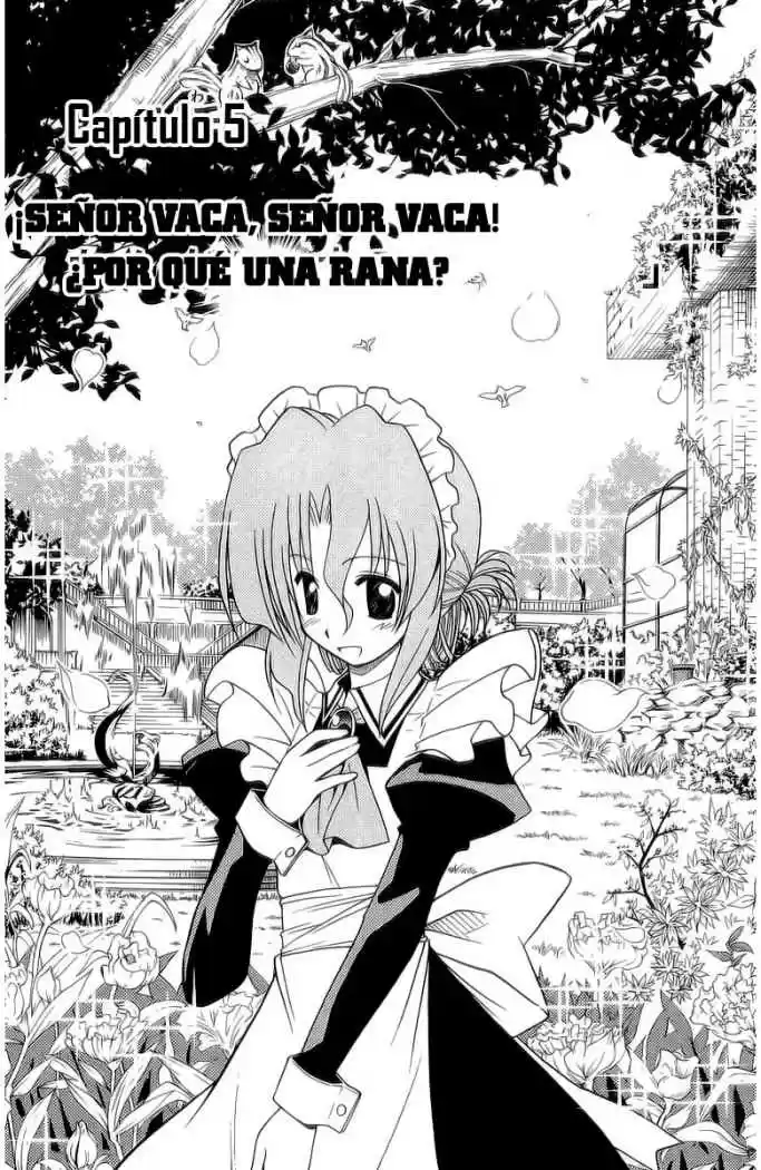 Hayate No Gotoku: Chapter 46 - Page 1