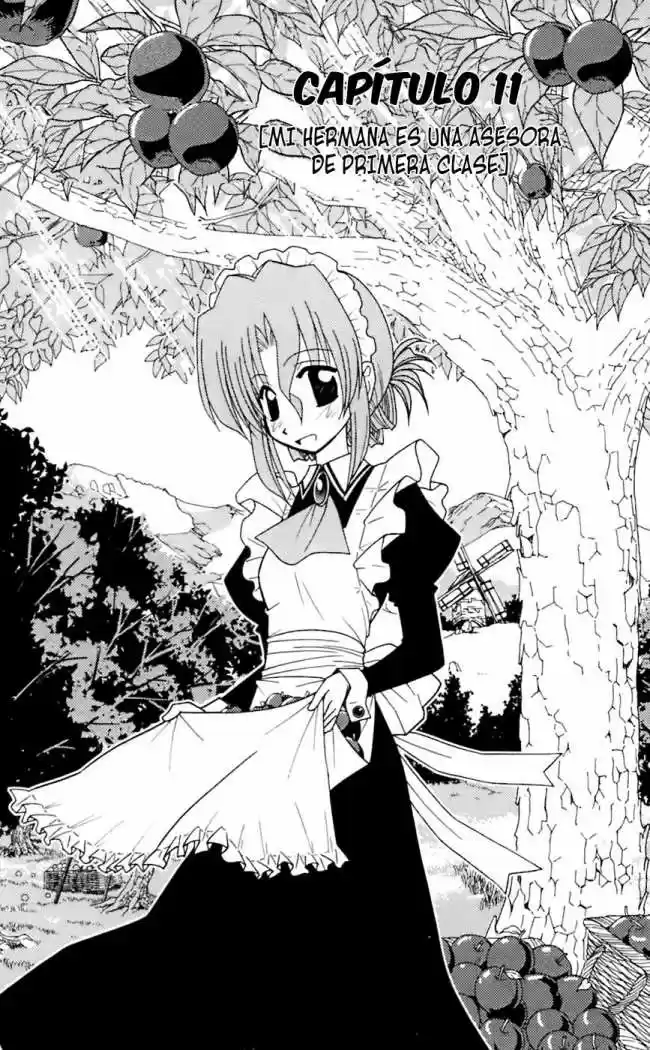 Hayate No Gotoku: Chapter 74 - Page 1