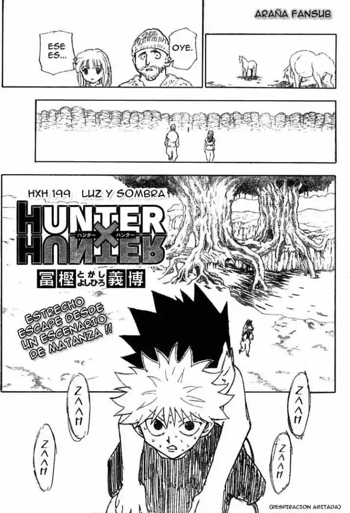 Hunter x Hunter: Chapter 199 - Page 1