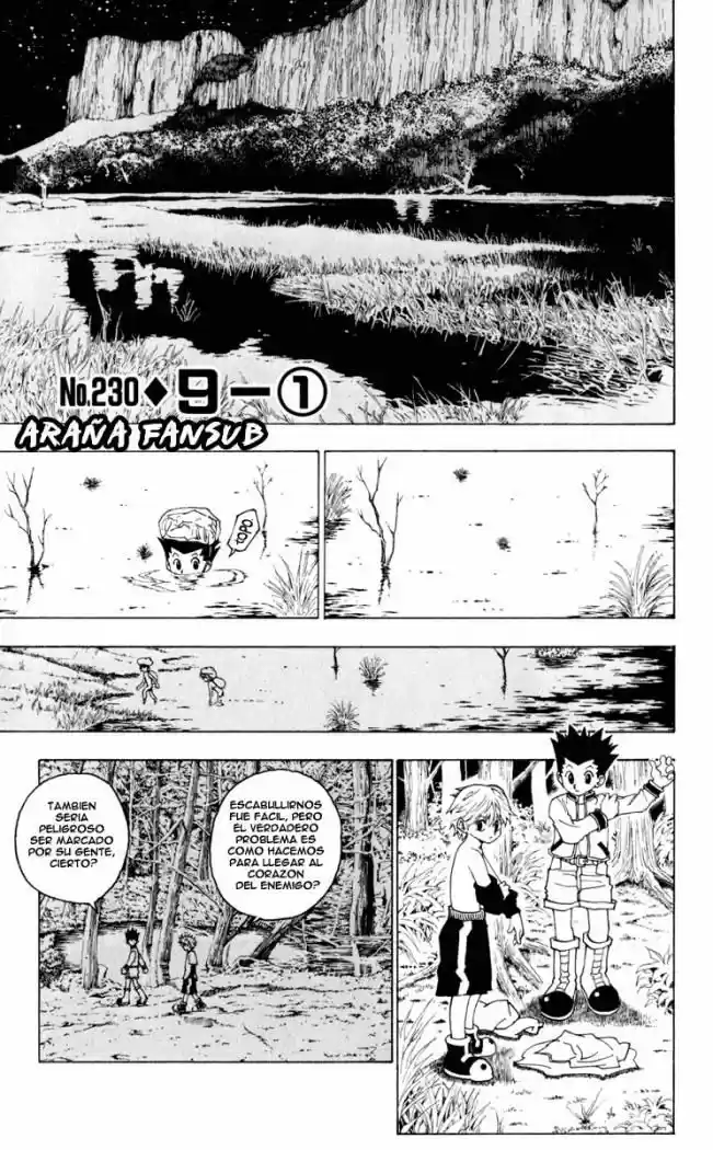 Hunter x Hunter: Chapter 230 - Page 1