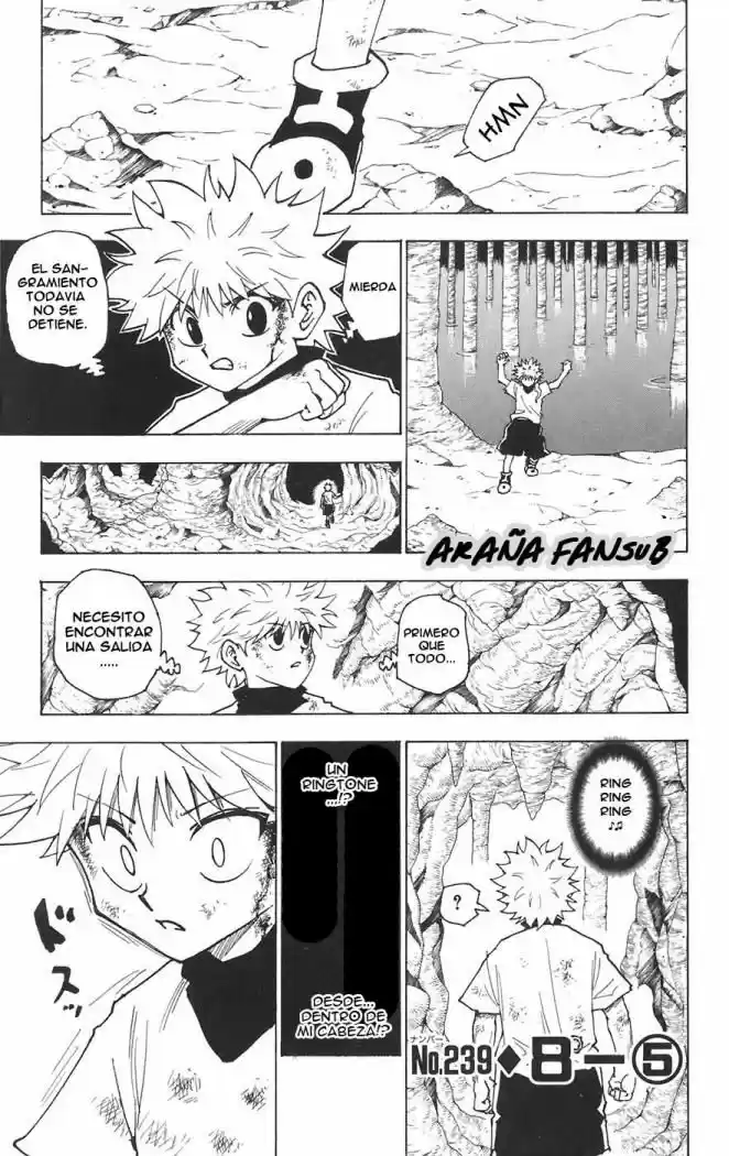 Hunter x Hunter: Chapter 239 - Page 1