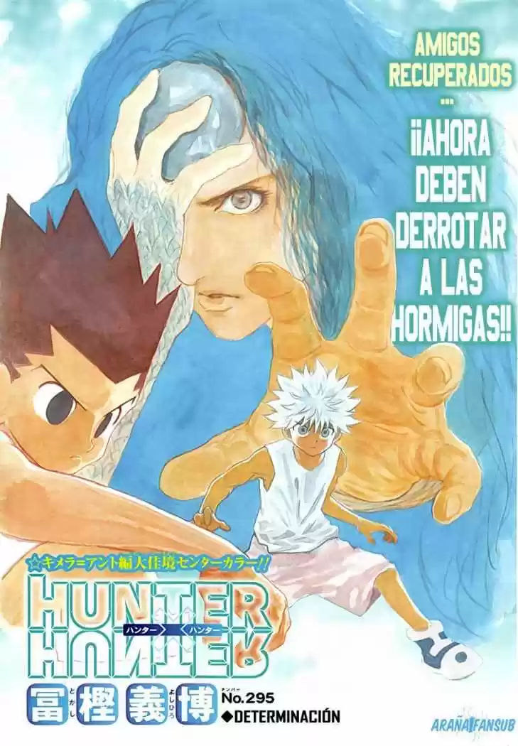 Hunter x Hunter: Chapter 295 - Page 1