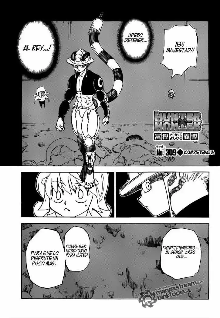 Hunter x Hunter: Chapter 309 - Page 1