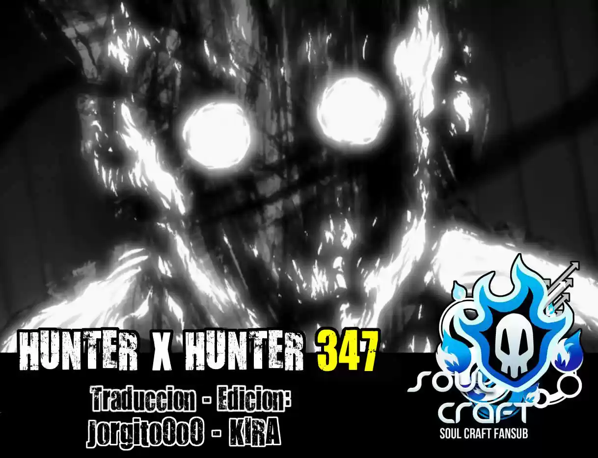 Hunter x Hunter: Chapter 347 - Page 1