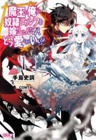 Maou No Ore Ga Dorei Elf Wo Yome Ni Shitanda Ga, Dou Medereba Ii? (Novela