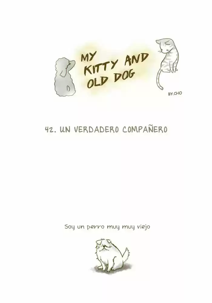 My Young Cat And My Old Dog: Chapter 42 - Page 1