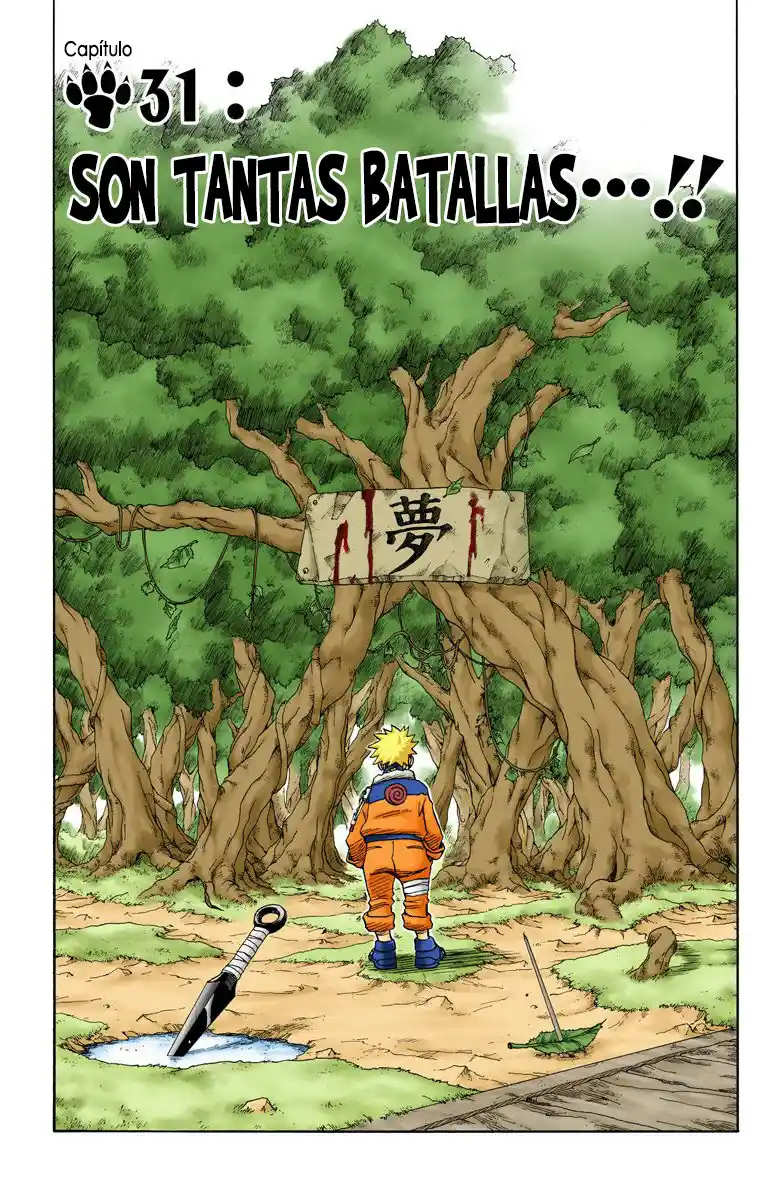 Naruto Full Color: Chapter 31 - Page 1