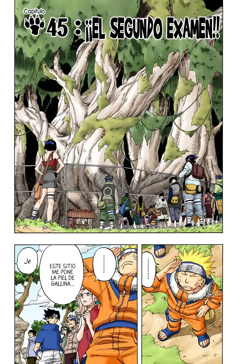 Naruto Full Color: Chapter 45 - Page 1