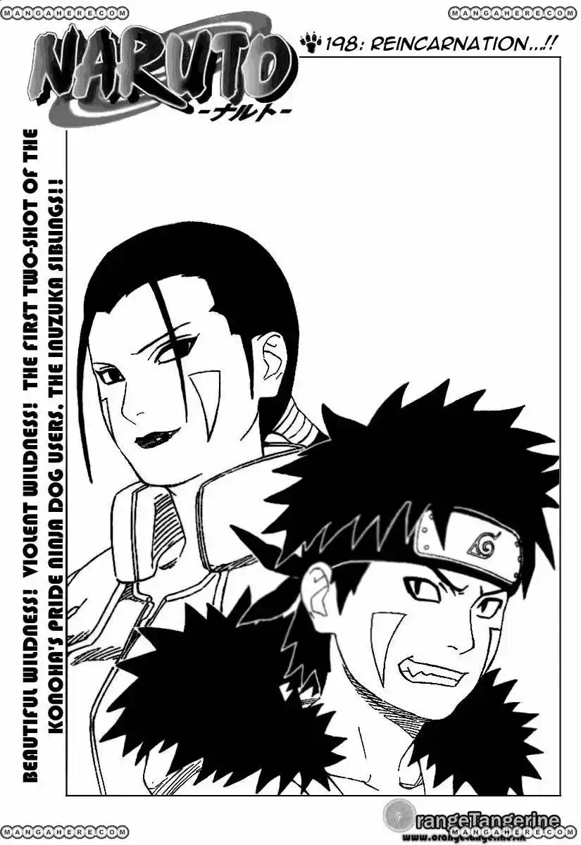 Naruto: Chapter 198 - Page 1