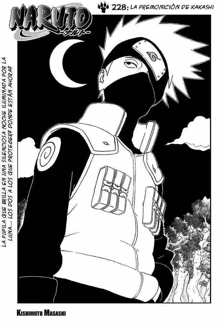 Naruto: Chapter 228 - Page 1