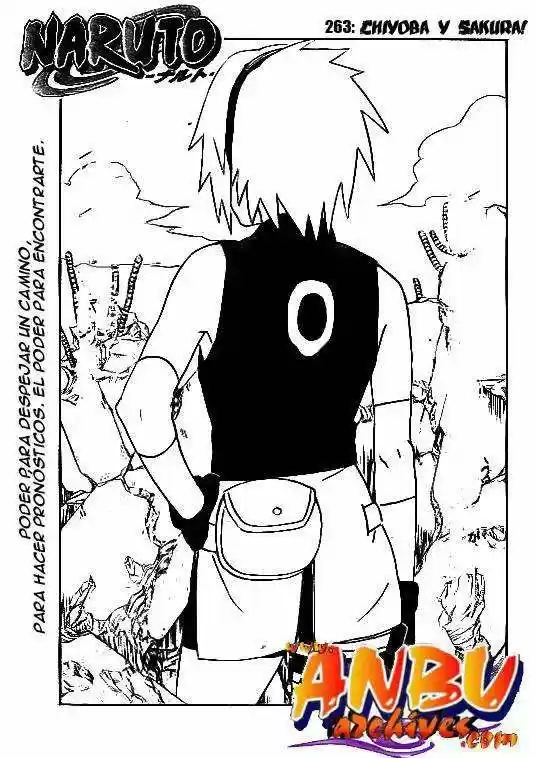 Naruto: Chapter 265 - Page 1