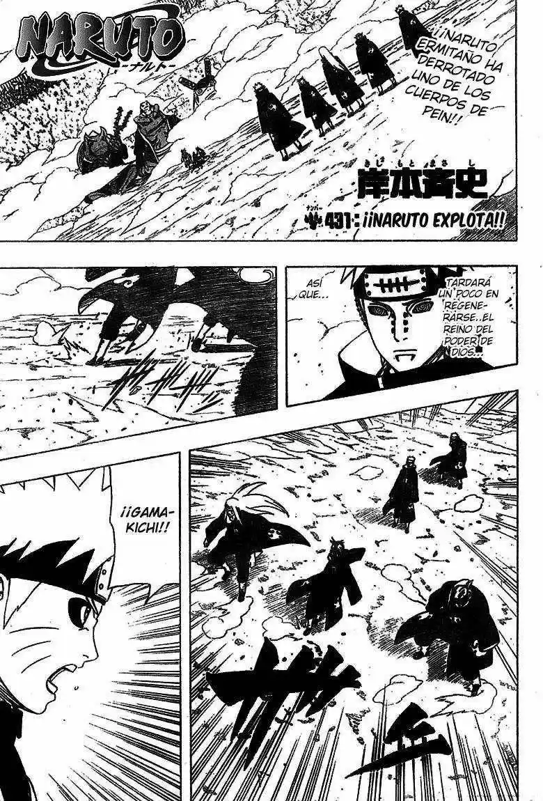 Naruto: Chapter 431 - Page 1