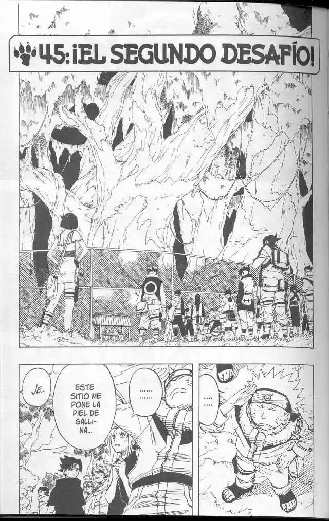 Naruto: Chapter 45 - Page 1