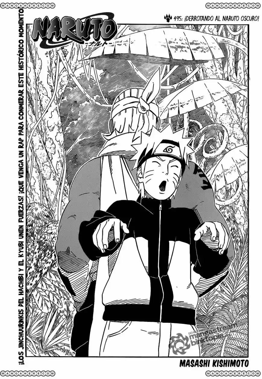 Naruto: Chapter 495 - Page 1