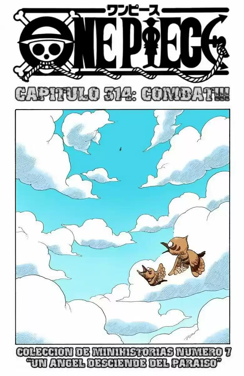 One Piece (full Color: Chapter 314 - Page 1