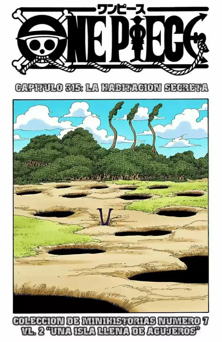 One Piece (full Color: Chapter 315 - Page 1