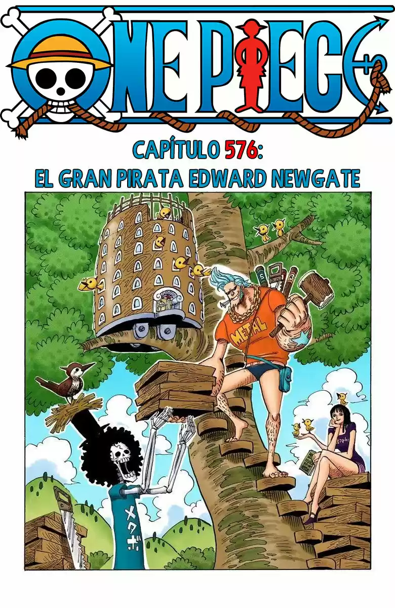 One Piece (full Color: Chapter 576 - Page 1