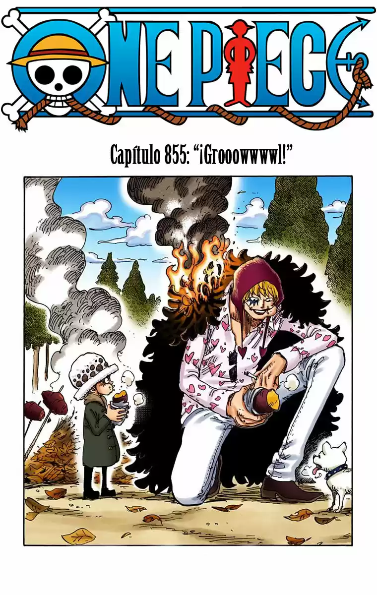 One Piece (full Color: Chapter 855 - Page 1