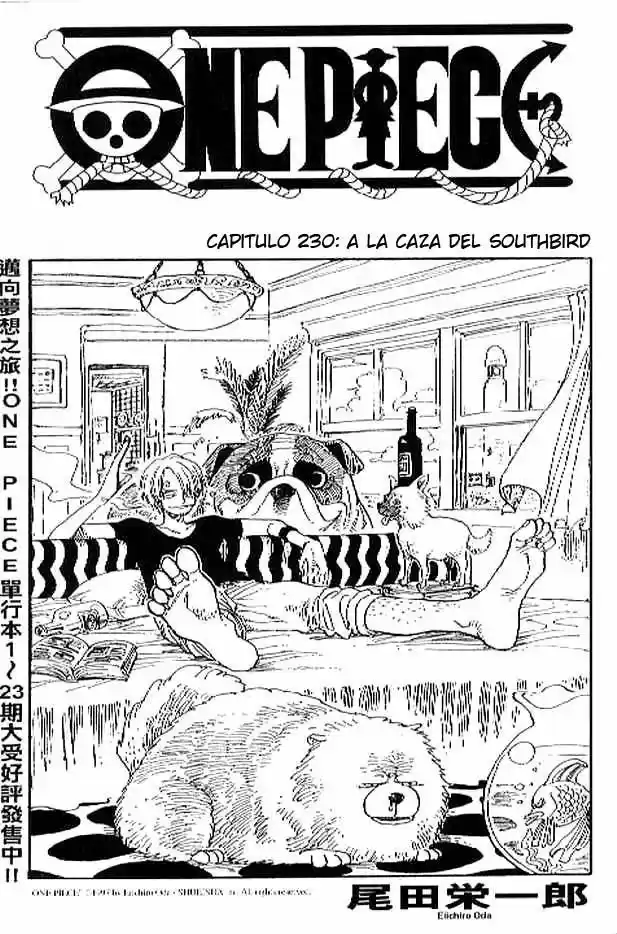 One Piece: Chapter 230 - Page 1