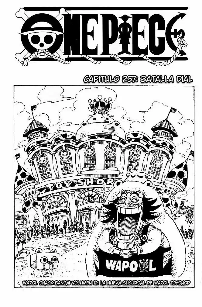 One Piece: Chapter 257 - Page 1