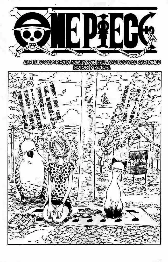 One Piece: Chapter 263 - Page 1