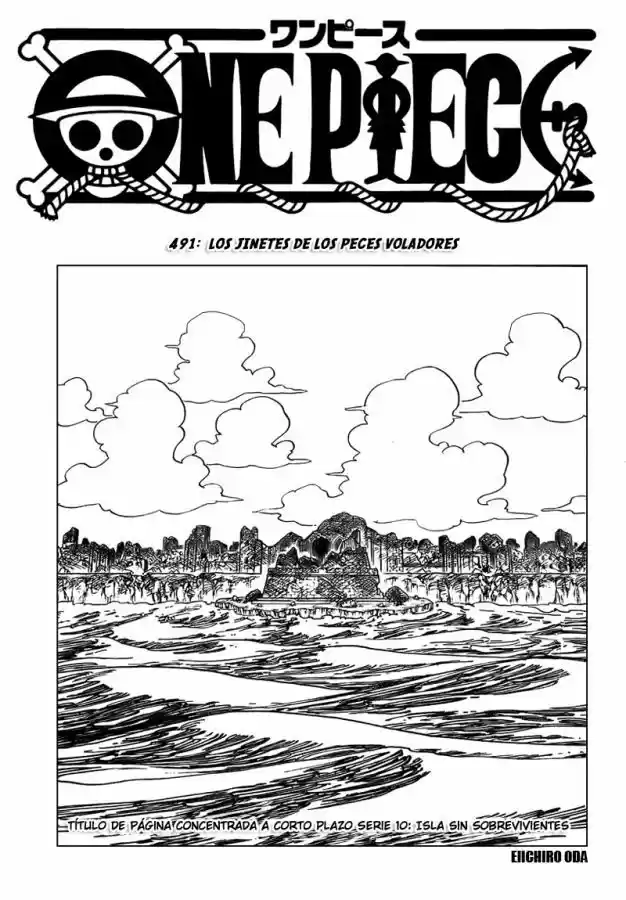 One Piece: Chapter 491 - Page 1