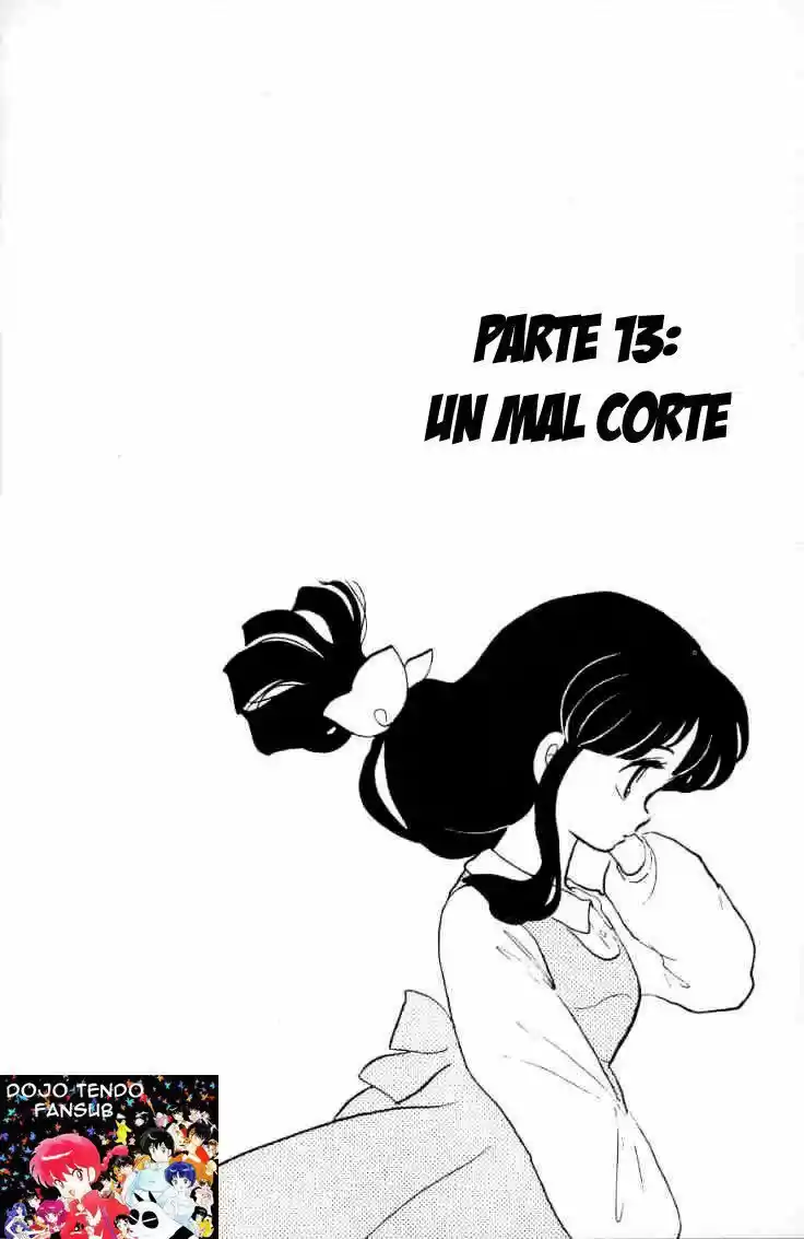 Ranma 1/2: Chapter 13 - Page 1