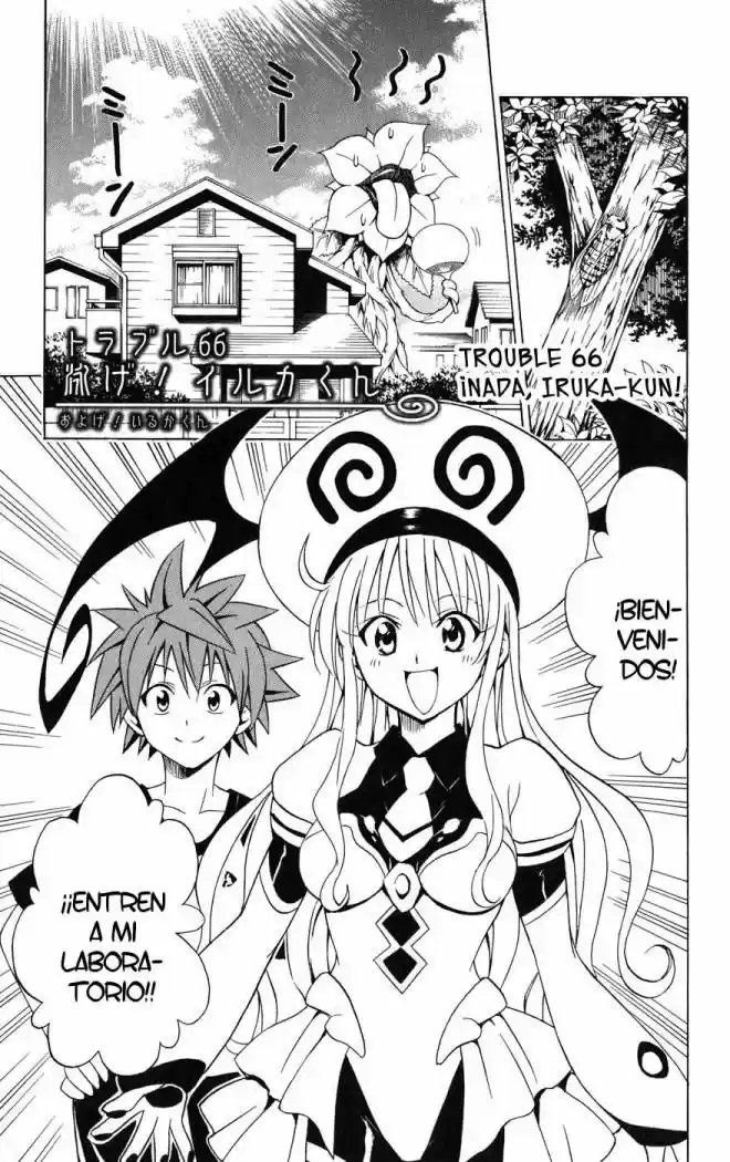 To Love Ru: Chapter 66 - Page 1